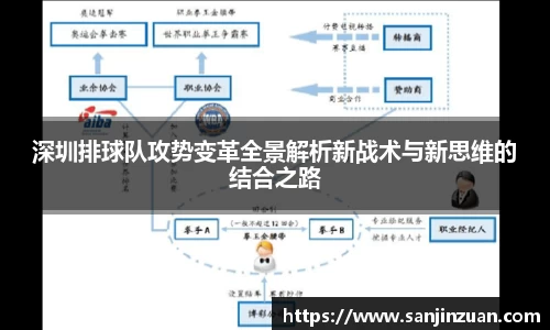 深圳排球队攻势变革全景解析新战术与新思维的结合之路